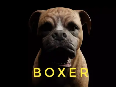 DOG - BOXER  Low-poly 3D model