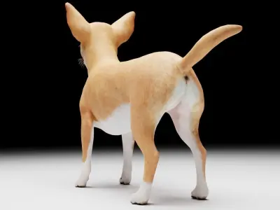 CHIHUAHUA FLEX 3D model