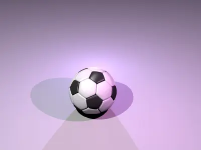 Soccer Ball 3D model