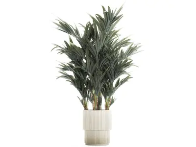Beautiful palm tree in a flower pot for decoration 1281 3D model