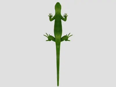 Reptile Lizard Low-poly 3D model