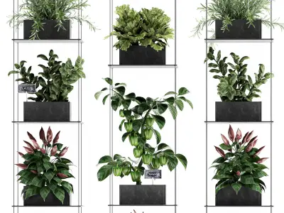 Vertical garden for the kitchen 72 3D model