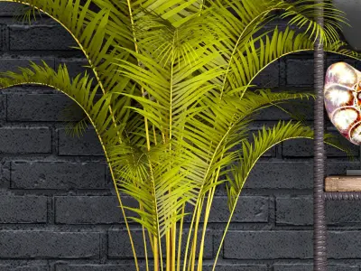 Decorative set plants on shelf 3D model