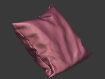Solid Pillow 16 3D model