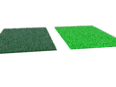 Grass two pieces of Low-poly 3D model