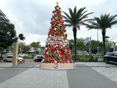 Australia Christmas Tree Concept 3D model