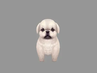 Cartoon pet puppy - White Pekingese - baby dog  Low-poly 3D model