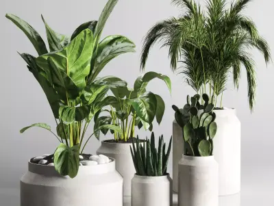 collection Indoor plant 33-concrate-vase Low-poly 3D model