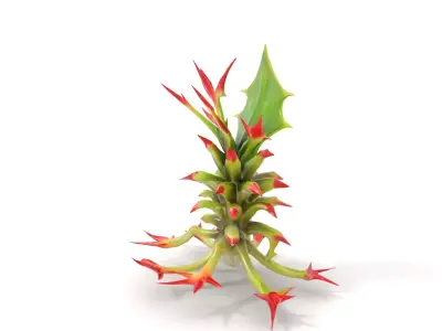 Exotic Spiky Plant model pack Low-poly 3D model