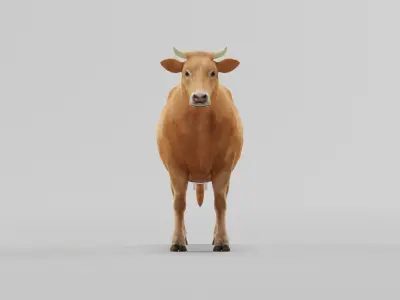 Domestic Cattle Oxen Animals Low-poly 3D model
