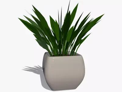 Plant in a Pot 3D model