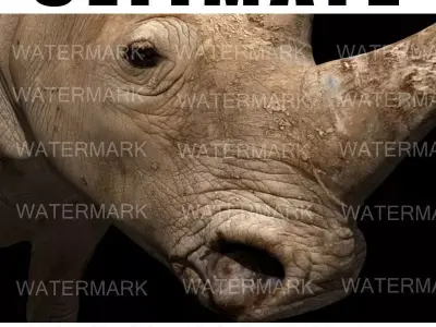 The Ultimate rhino - 3d rhinoceros model 3D model