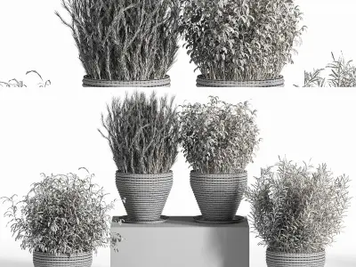 Indoor Plant Set 18 3D model