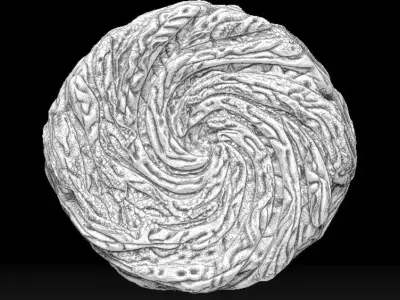 Vortex Ring 3D print model