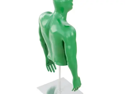 Fitness mannequin torso 169 3D model