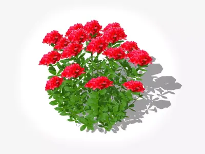 Azalea - Rhododendron - Red Low-poly 3D model