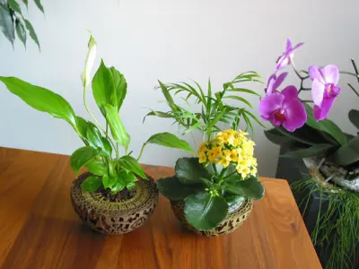 Guardians of the Galaxy Plant Pot 3D print model