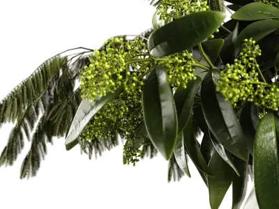 L aroma di Roma 3D model