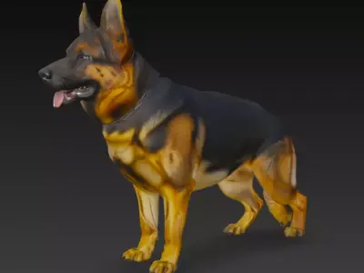 German Shepherd Dog 3d Model 3D model