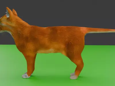 Low-poly Cat Low-poly 3D model purchase