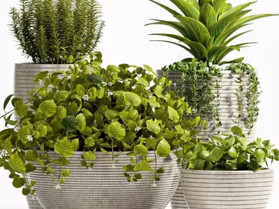 Decorative plant set-51 3D model