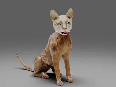 Cat White Rigged and Animated Low-poly 3D model
