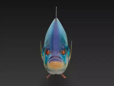 Fish Realistic 3D Model - Low Poly Realistic  Low-poly 3D model