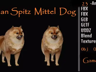 German Spitz Mittel Dog Low-poly 3D model