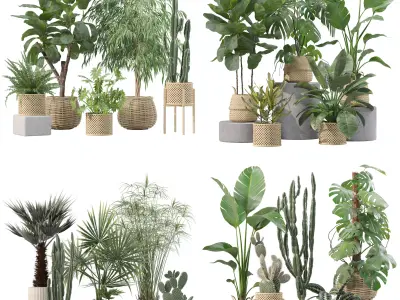 20 Photorealistic Flowers for Interiors - set 209 211 218 219 3D Model Collection