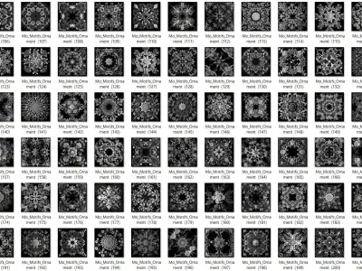   1000 Mega Pack Motifs Ornament Vol3  3D model