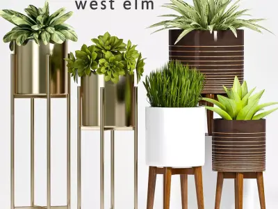 Decorative plant set-55 3D model