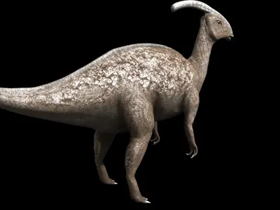Dinosaur Parasaurolophuspic 3D model