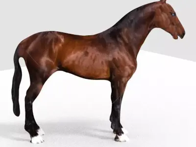 HORSE 3D model