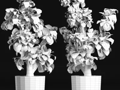 Plants Collection 144 Sageretia Theezans 3D model