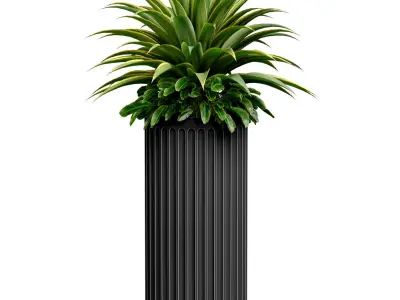 Decorative tropical plant Agave in a modern vase urn set 3D model