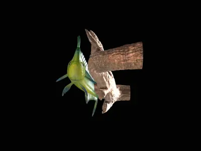 MAHI MAHI UNDERWATER STATUE ON THE WALL DETAILED TEXTURE  3D print model