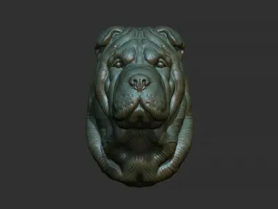Shar Pei dog head 3D print model