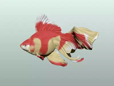 Goldfish Pose 1 3D print model