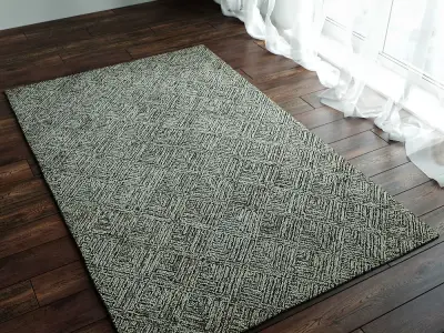 Curtis Rugs 3D model