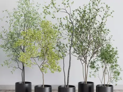 collection indoor plant 326 concrete vase Low-poly 3D model