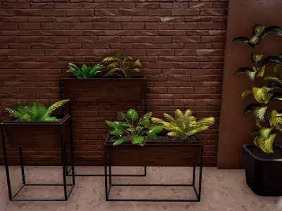 House Plants Collection Low-poly 3D model