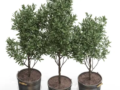 Plants collection 733 3D model