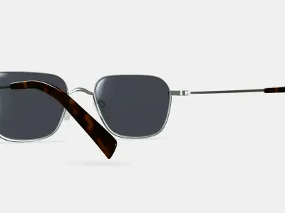 Healey Sunglasses in Polished Silver 3D model