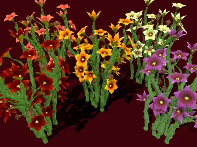 Flower Caralluma Socotrana Low-poly 3D model