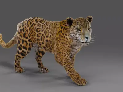 Fur Jaguar V02 Panther Rigged in Blender Low-poly 3D model