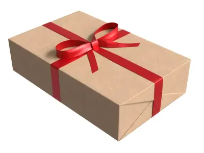 Wrapped Gift Box PBR 11 3D model