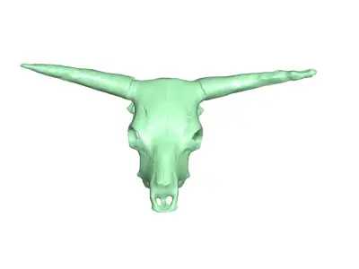 cow skull 3D model
