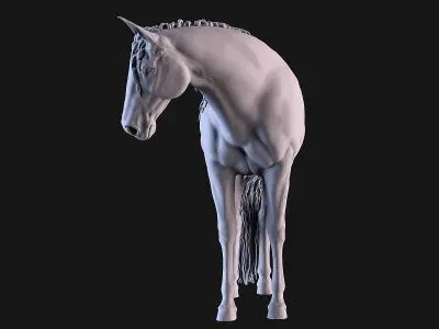 Mare Horse 3D print model