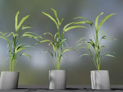 indoor pot plant  Low-poly 3D model