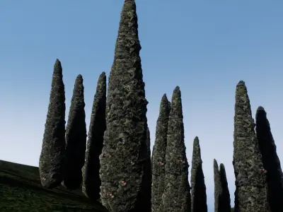 Tree cypress for distance view adapted for games  Low-poly 3D model